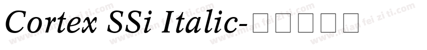 Cortex SSi Italic字体转换